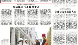 政治巡视在线观看,揭秘权力监督的在线直播之旅